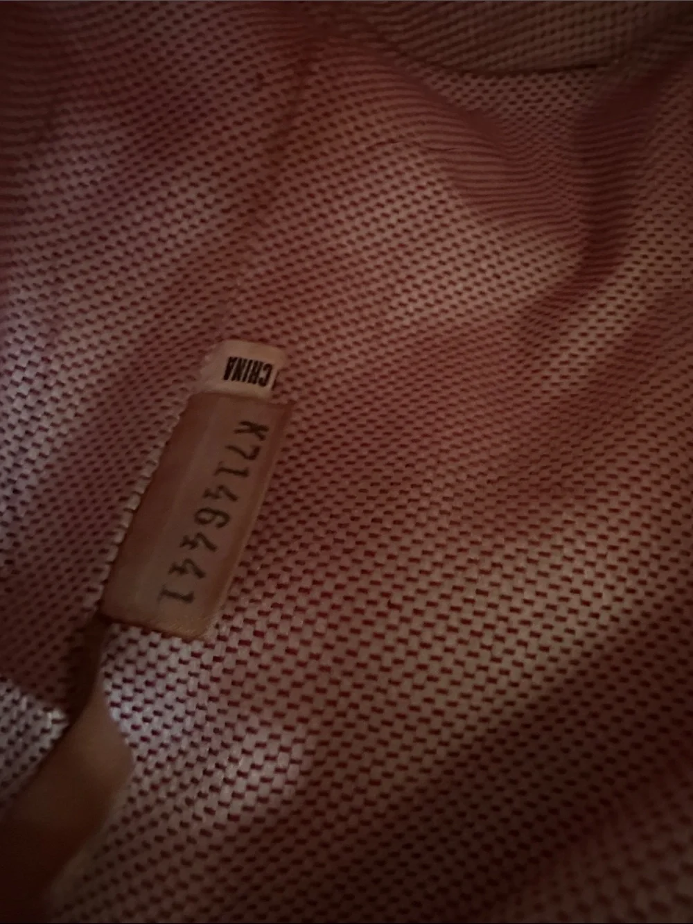 Dooney & Bourke Brown Logo Hobo with Pink Trim